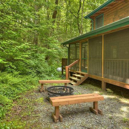 K6 Lodge Gather Around The Firepit Soak In The Hot Tub And Splash In The Creek Blue Ridge Kültér fotó